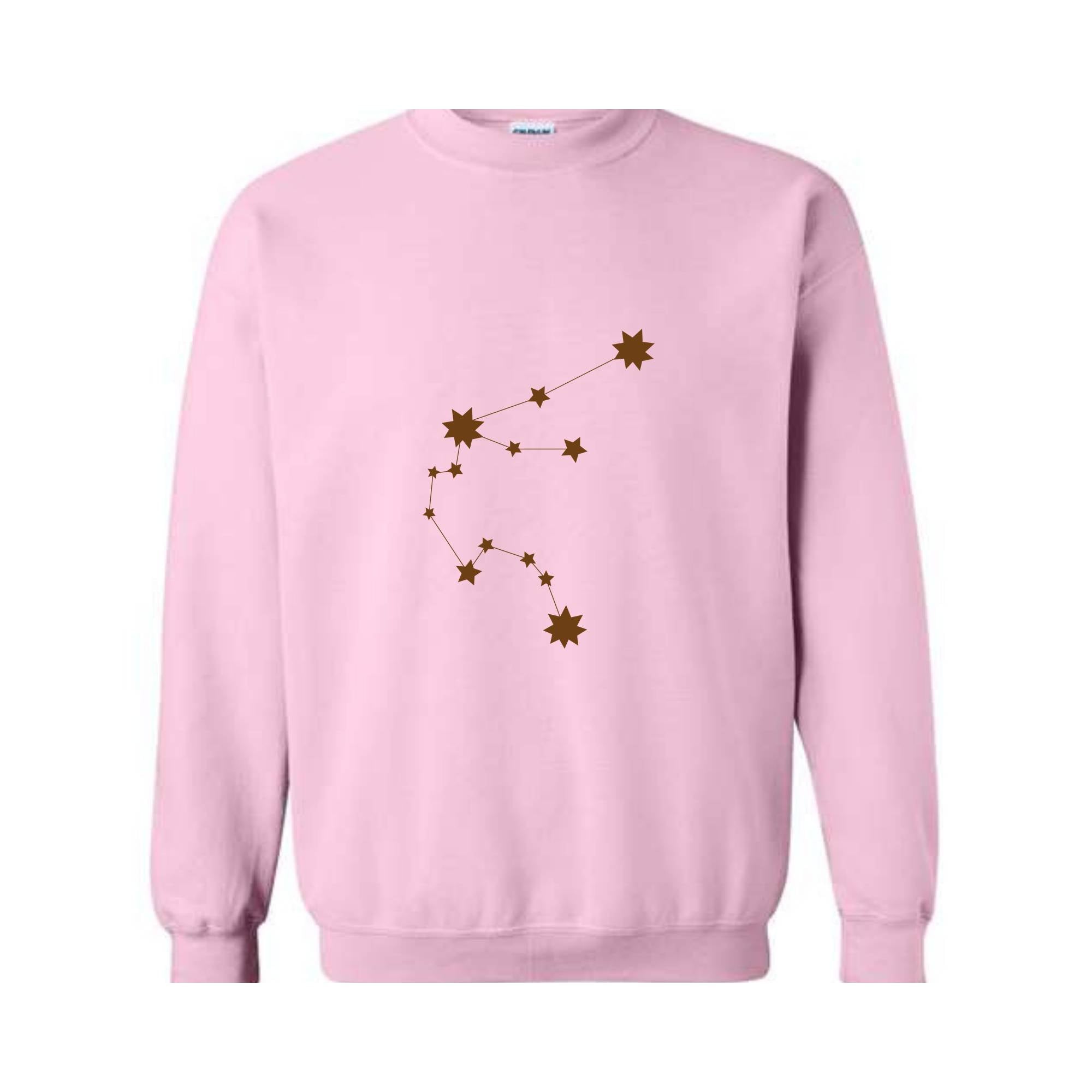 Aquarius Zodiac Birthday Hoodie, Astrology Sweatshirt, Aquarius Birthday Gift, Zodiac Hoodie, Zodiac Sweatshirt, Aquarius Sweatshirt