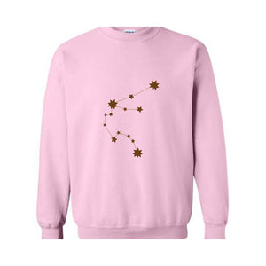 Aquarius Zodiac Birthday Hoodie, Astrology Sweatshirt, Aquarius Birthday Gift, Zodiac Hoodie, Zodiac Sweatshirt, Aquarius Sweatshirt