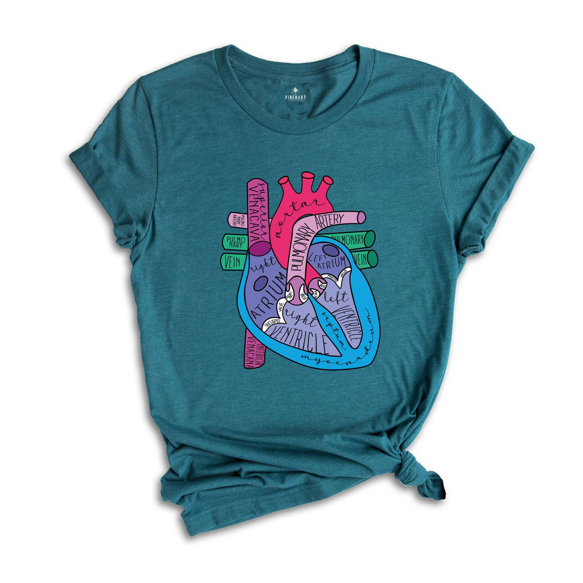 Cardiologist Anatomical Heart Shirt, Cardiac Nursing Gift, Nursing School Shirt, Medical School Student Shirt, Heart Anatomy Shirt