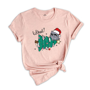 Christmas Cat Shirt, Cat What T-Shirt, Cat Lover Shirt, Holiday Apparel, Xmas Cat Shirt, Santa Cat Shirt, Cute Cat Shirt