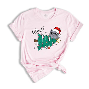 Christmas Cat Shirt, Cat What T-Shirt, Cat Lover Shirt, Holiday Apparel, Xmas Cat Shirt, Santa Cat Shirt, Cute Cat Shirt