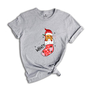 Christmas Cat What T-Shirt, Funny Cat What, Cute Cat Shirt, Christmas Shirt, Christmas Gift, Holiday Gift, Christmas Cat Gift
