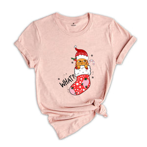 Christmas Cat What T-Shirt, Funny Cat What, Cute Cat Shirt, Christmas Shirt, Christmas Gift, Holiday Gift, Christmas Cat Gift