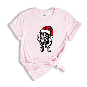 Christmas Dachshund T-shirt, Christmas Dog Shirt, Dog Lover Tee, Happy Christmas Gift, Xmas Dog Owner, Christmas Sweatshirt