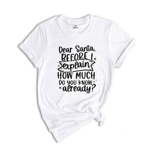 Dear Santa Before I Explain How Much Do You Know Already T-Shirt, Funny Christmas Shirt, Family Christmas Gifts