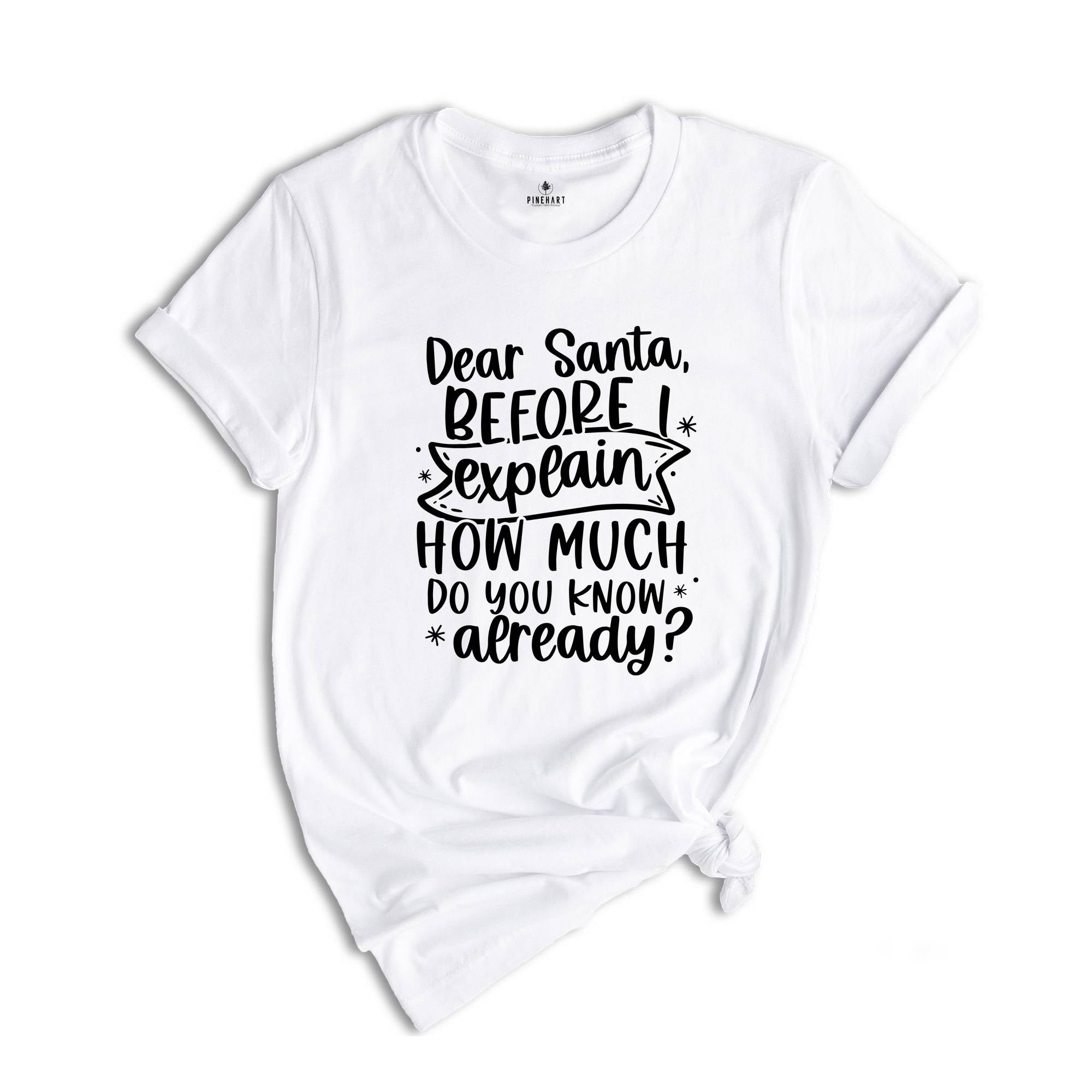 Dear Santa Before I Explain How Much Do You Know Already T-Shirt, Funny Christmas Shirt, Family Christmas Gifts