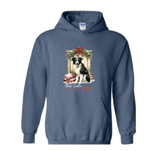 Dear Santa Don't Forget The Dog Hoodie, Christmas Hoodie, Christmas Gifs, Dog Hoodie, Santa Claus Hoodie
