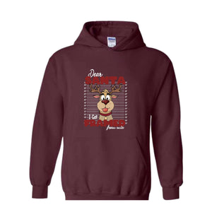 Dear Santa I Got Framed From Wia Hoodie, Christmas Hoodie, Christmas Gifts, Santa Deer Hoodie, Christmas Mugshot