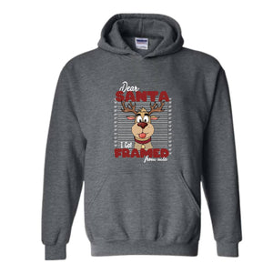 Dear Santa I Got Framed From Wia Hoodie, Christmas Hoodie, Christmas Gifts, Santa Deer Hoodie, Christmas Mugshot