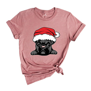 French Bulldog Christmas Shirt, French Bulldog Lover, Frenchie Christmas T-Shirt, French Dog Mom Tee, Holiday French Shirt