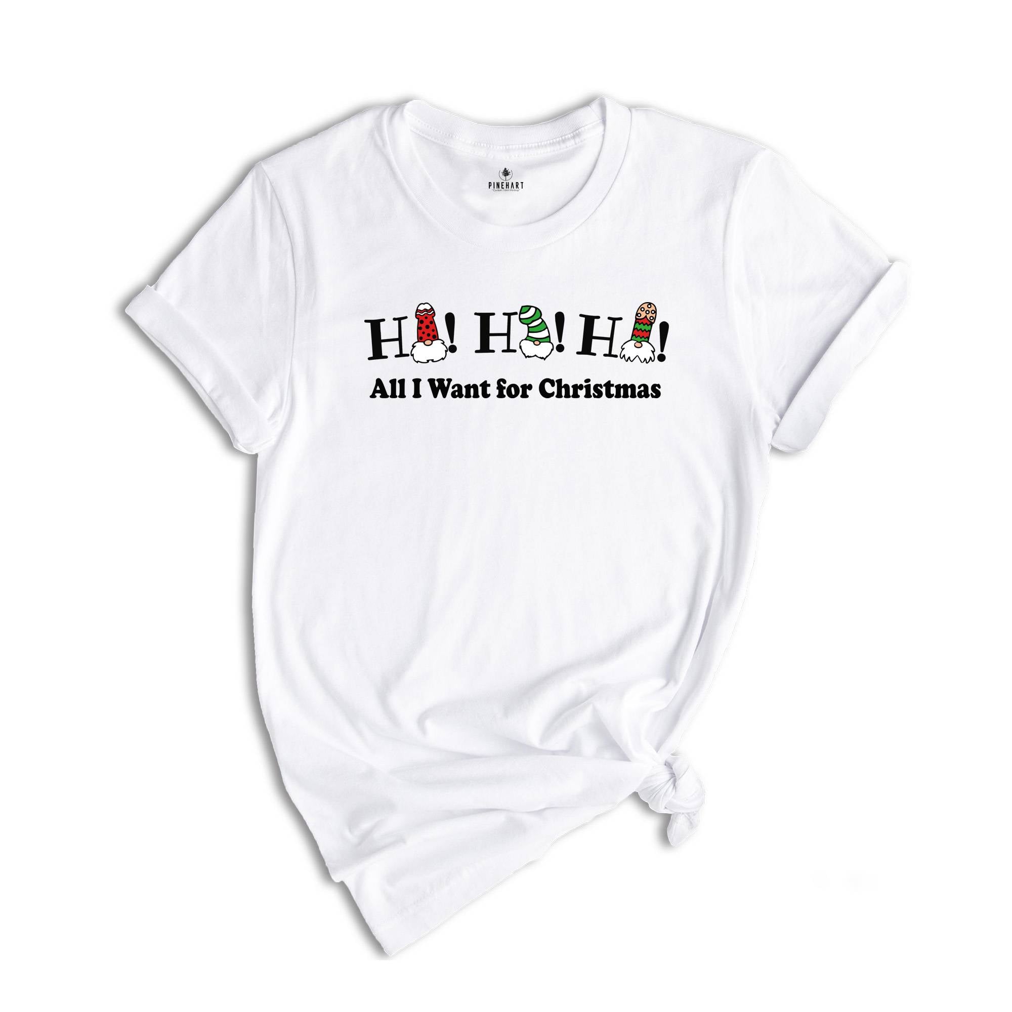 Ho Ho Ho All I Want for Christmas Shirt, Dick Diversity Shirt, Adult Humor Shirt, Sarcastic Xmas Shirt, Adult Humor Gift