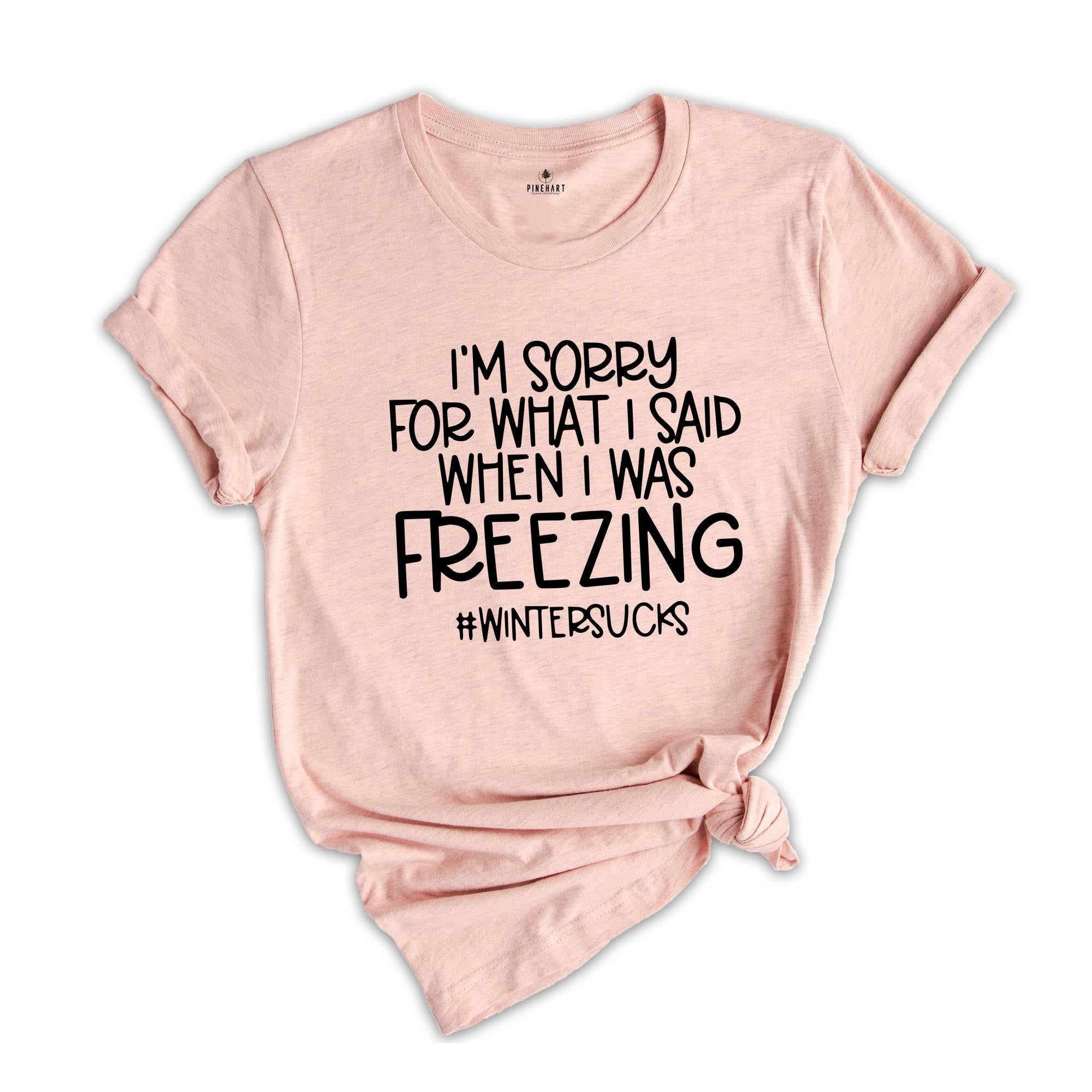 I Am Sorry For What I Said When I Was Freezing, Winter Hoodie, Fall Hoodie, Seasonal Sweatshirt, Winter Sweatshirt, Christmas Sweatshirt