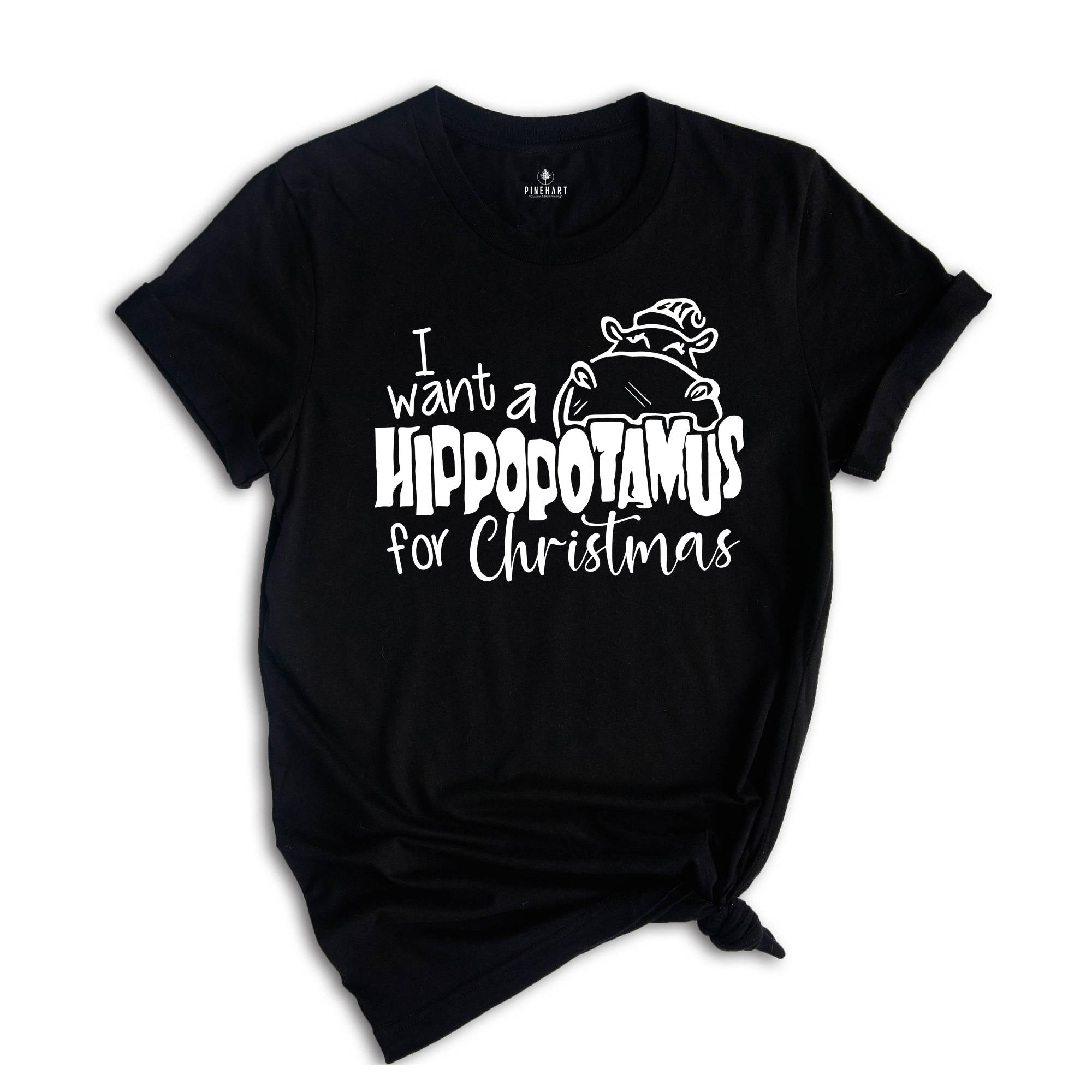 I Want a Hippopotamus For Christmas, Christmas Gift, Cute Christmas Tee, Christmas Kids Shirt, Christmas Pajamas, Holiday Shirt