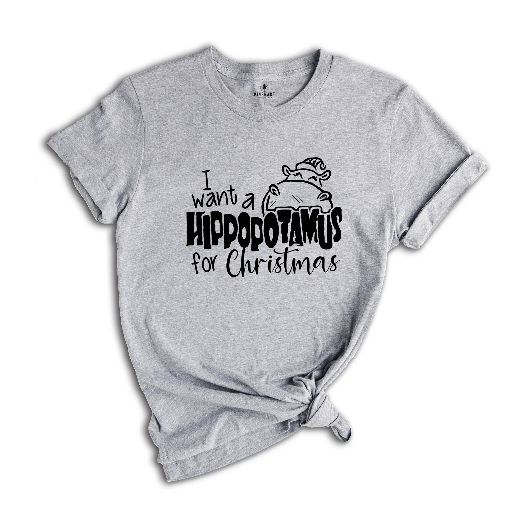 I Want a Hippopotamus For Christmas, Christmas Gift, Cute Christmas Tee, Christmas Kids Shirt, Christmas Pajamas, Holiday Shirt