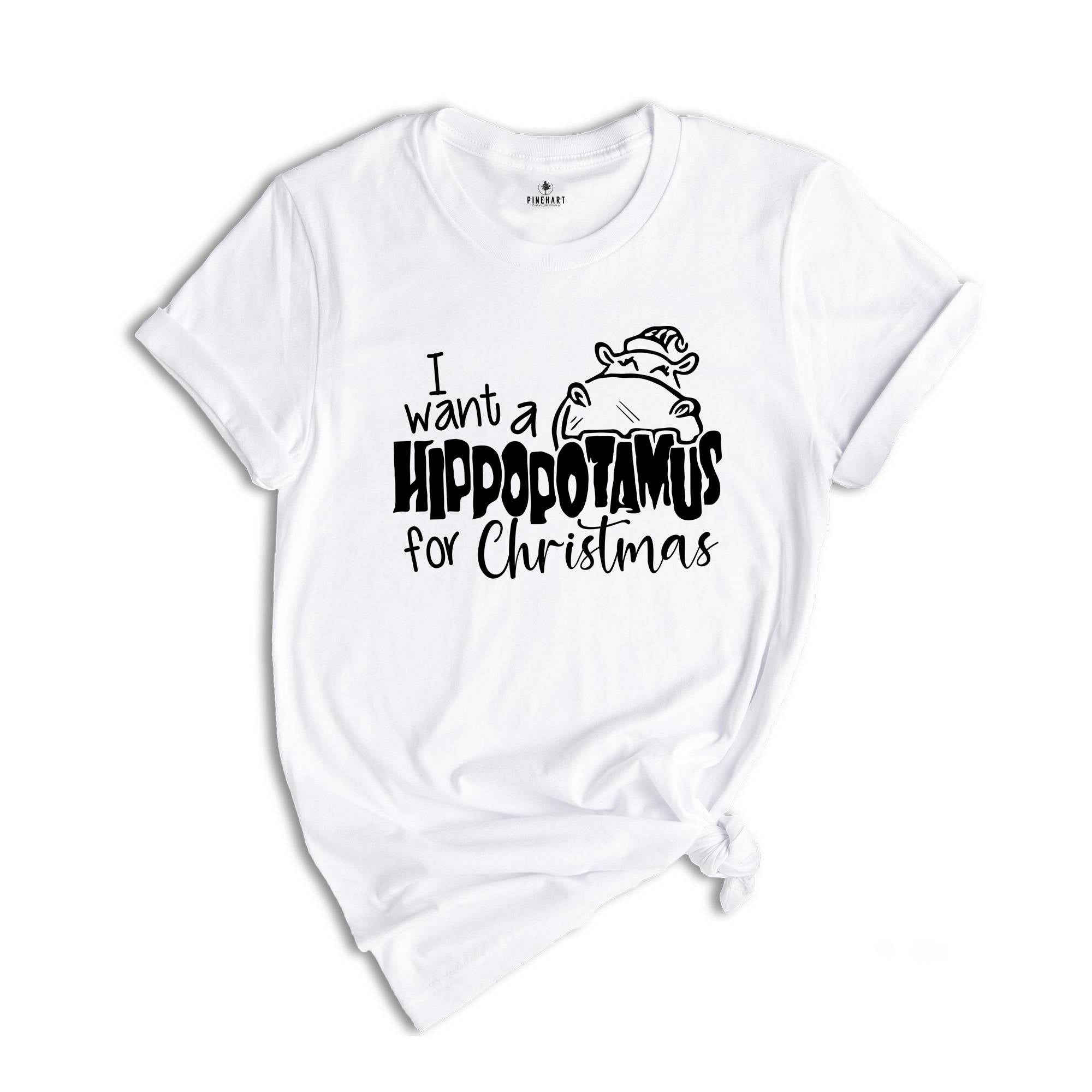 I Want a Hippopotamus For Christmas, Christmas Gift, Cute Christmas Tee, Christmas Kids Shirt, Christmas Pajamas, Holiday Shirt