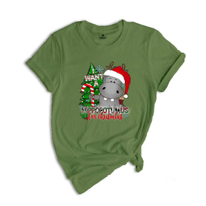 I Want A Hippopotamus For Christmas Shirt, Christmas Hippo Shirt, Funny Christmas Shirt, Christmas Gift, Holiday Tee