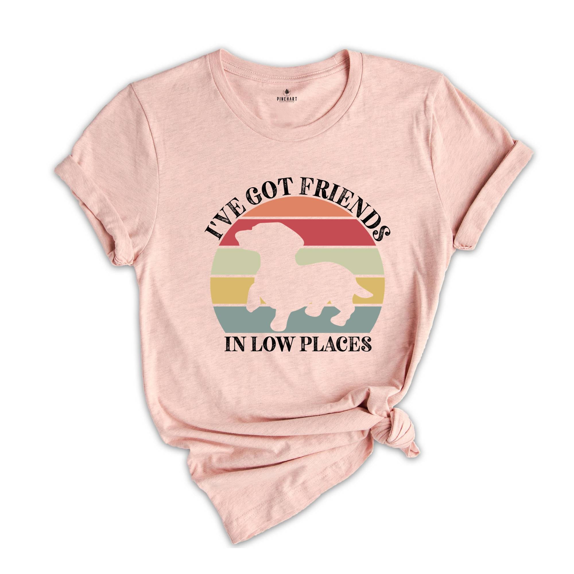 I've Got Friends In Low Places Shirt, Retro Dog T-Shirt, Cute Short Dog Tee, Dog Owner Gift, Funny Dog T-Shirt, Vet Shirt