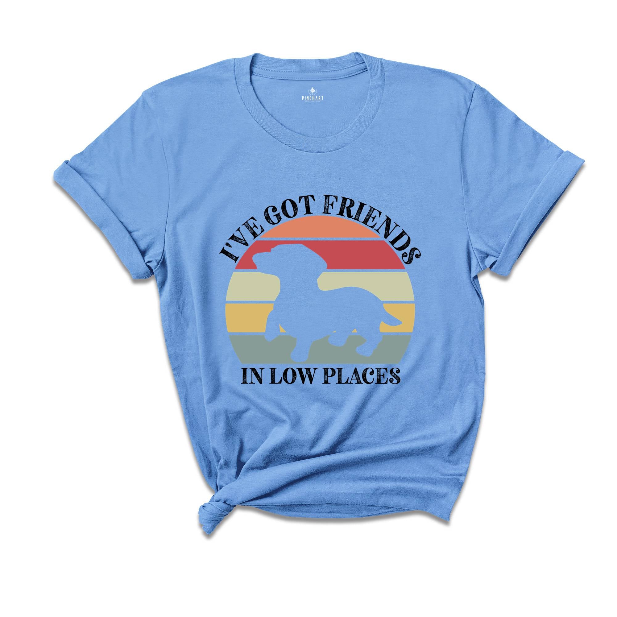 I've Got Friends In Low Places Shirt, Retro Dog T-Shirt, Cute Short Dog Tee, Dog Owner Gift, Funny Dog T-Shirt, Vet Shirt