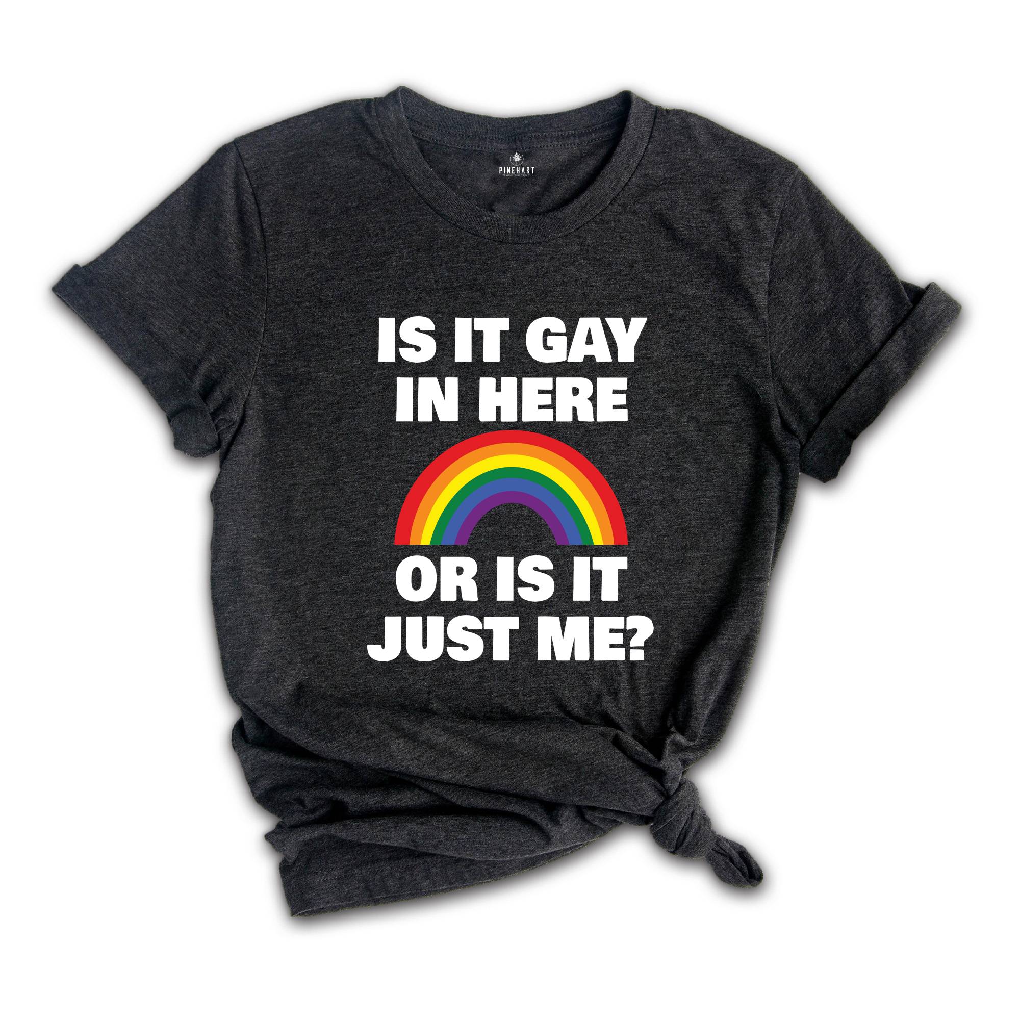 LGBT Shirt, Is It Gay In Here Shirt, LGBT Flag Shirt, Bisexual Shirt, LGBT Sweatshirt, Lesbian Shirts, Rainbow Shirt, Queer Shirt, Gay Pride
