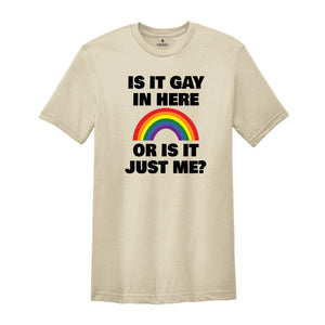 LGBT Shirt, Is It Gay In Here Shirt, LGBT Flag Shirt, Bisexual Shirt, LGBT Sweatshirt, Lesbian Shirts, Rainbow Shirt, Queer Shirt, Gay Pride