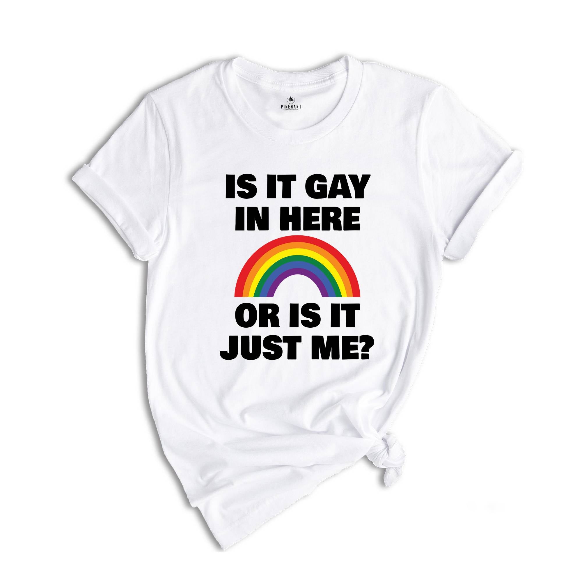 LGBT Shirt, Is It Gay In Here Shirt, LGBT Flag Shirt, Bisexual Shirt, LGBT Sweatshirt, Lesbian Shirts, Rainbow Shirt, Queer Shirt, Gay Pride