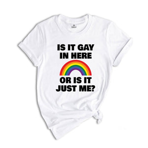 LGBT Shirt, Is It Gay In Here Shirt, LGBT Flag Shirt, Bisexual Shirt, LGBT Sweatshirt, Lesbian Shirts, Rainbow Shirt, Queer Shirt, Gay Pride