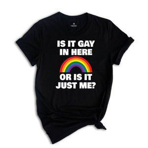 LGBT Shirt, Is It Gay In Here Shirt, LGBT Flag Shirt, Bisexual Shirt, LGBT Sweatshirt, Lesbian Shirts, Rainbow Shirt, Queer Shirt, Gay Pride