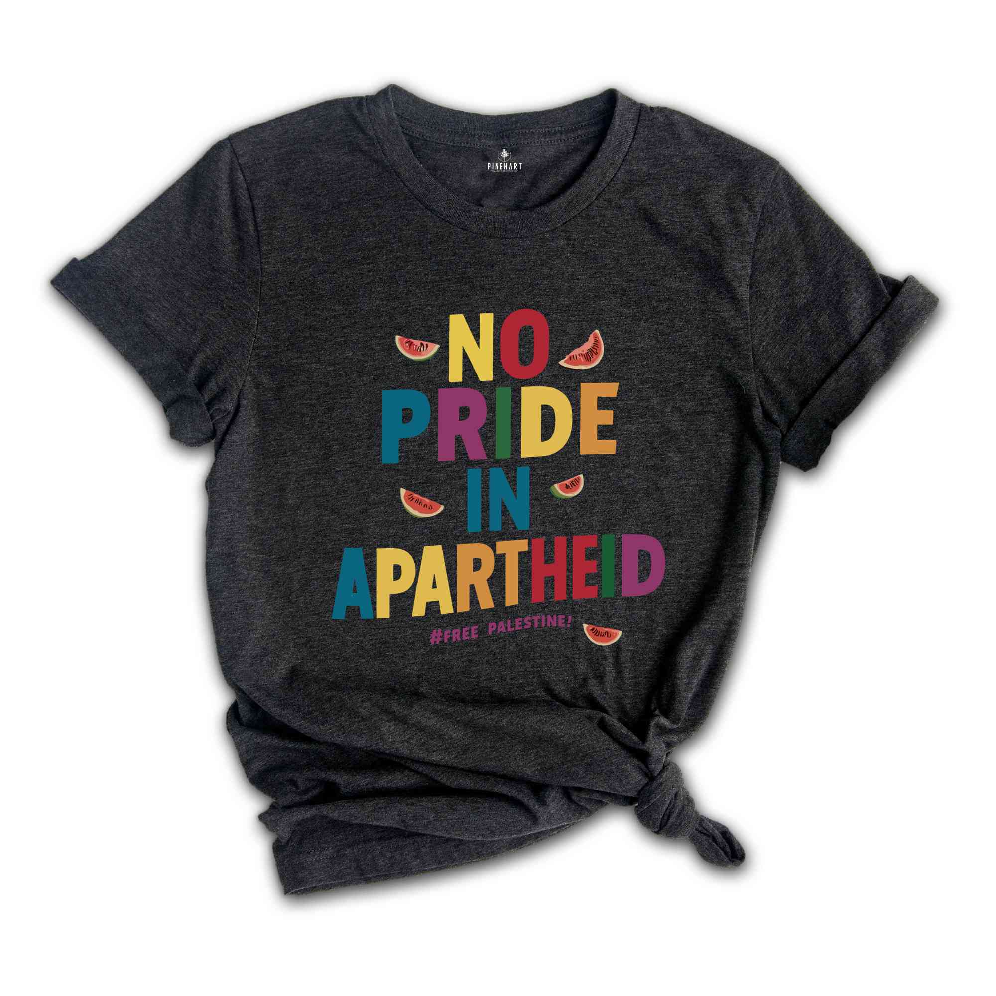 No Pride In Apartheid Shirt, Freedom Shirt, Protest Activist T-shirt, Apartheid Awareness Shirt, Equality Shirt, Watermelon T Shirt