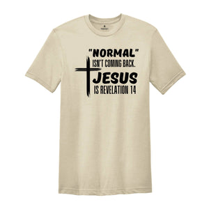 Normal Isn't Coming Back Shirt, Jesus Is Revelation Shirt, Jesus Shirt, Jesus Lover Shirt, Believer Gift, Religious Gift