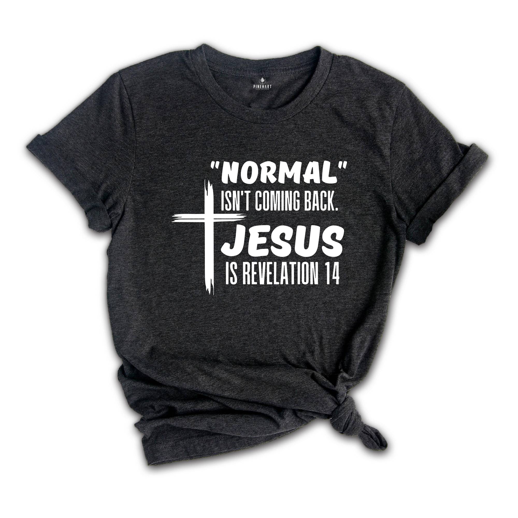 Normal Isn't Coming Back Shirt, Jesus Is Revelation Shirt, Jesus Shirt, Jesus Lover Shirt, Believer Gift, Religious Gift