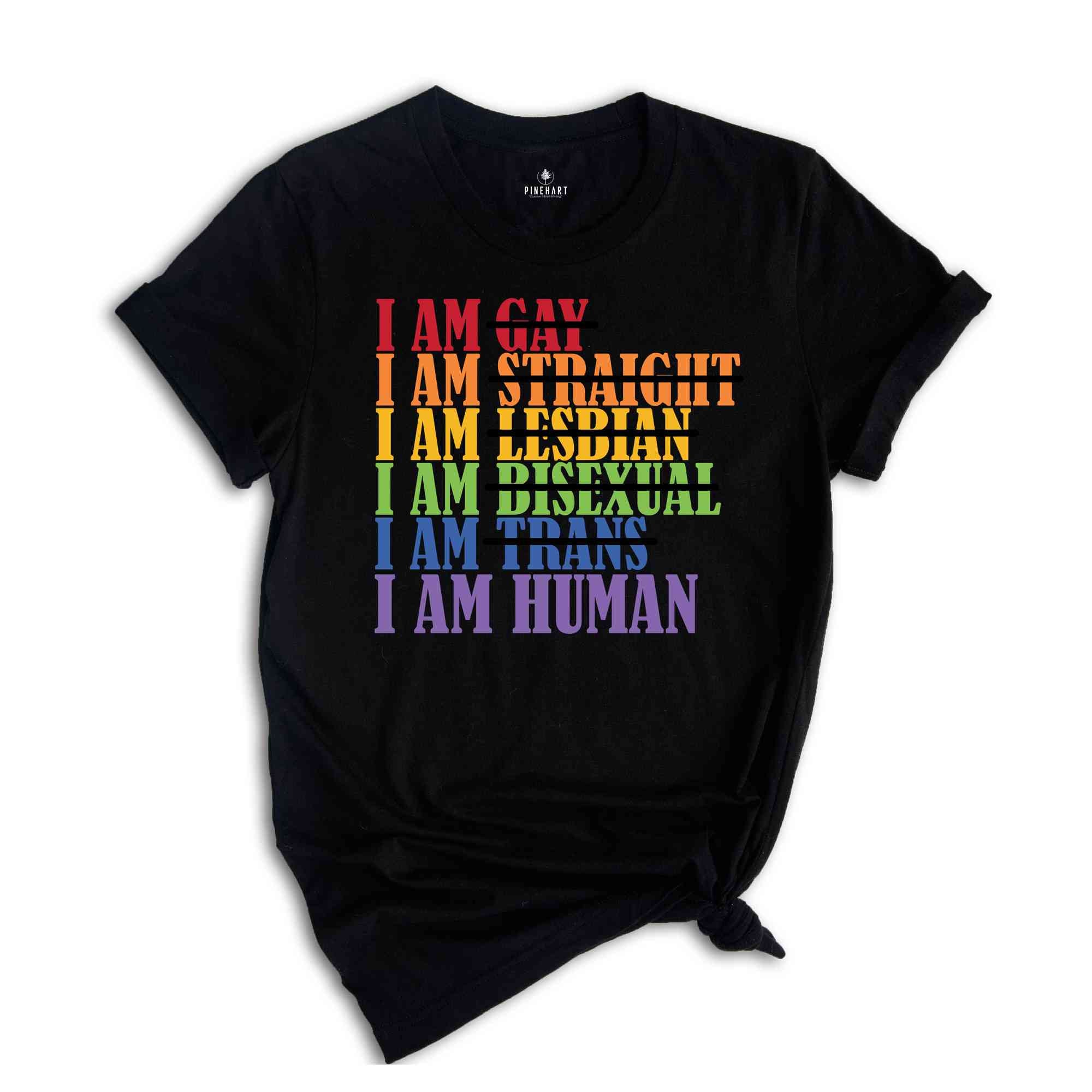 Pride Month Shirt, Love Is Love Shirt, Pride Ally Shirt, LGBTQ Shirt, Pride Love Shirt, Gay Shirt, Lesbian Shirt, Cute Pride Shirt