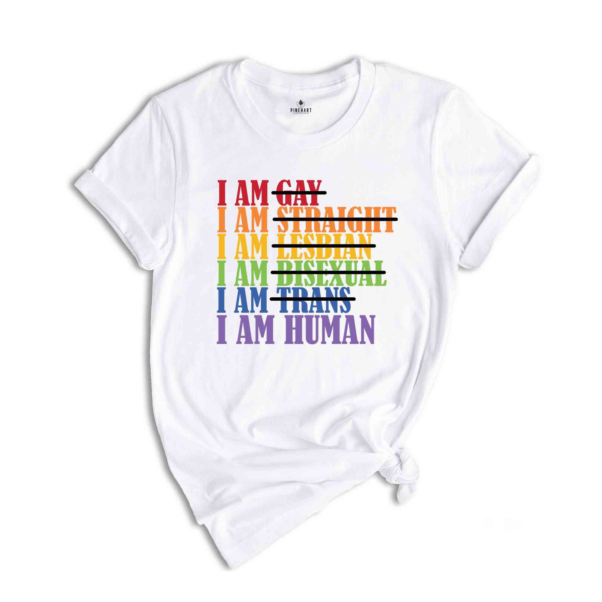 Pride Month Shirt, Love Is Love Shirt, Pride Ally Shirt, LGBTQ Shirt, Pride Love Shirt, Gay Shirt, Lesbian Shirt, Cute Pride Shirt