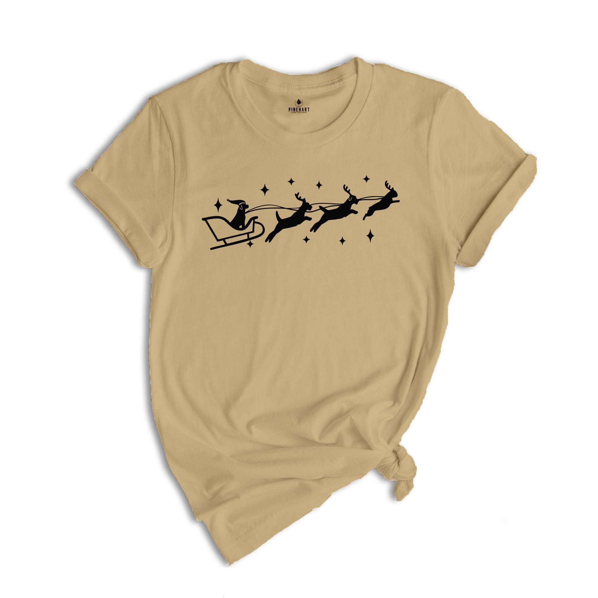 Santa Sleigh Shirt, Christmas Animal T-Shirt, Dog Lover Shirt, Santa Animal Shirt, Christmas Dogs Shirt, Christmas Sweatshirt