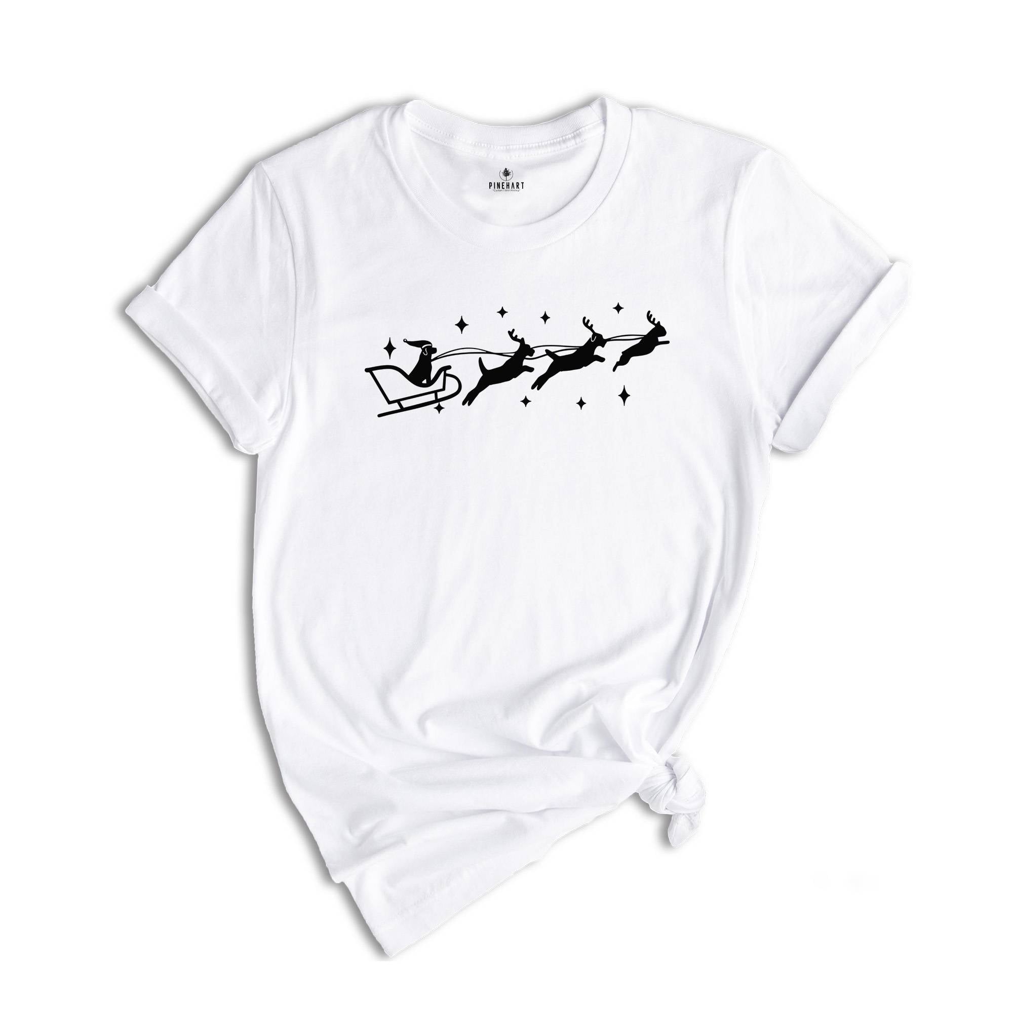 Santa Sleigh Shirt, Christmas Animal T-Shirt, Dog Lover Shirt, Santa Animal Shirt, Christmas Dogs Shirt, Christmas Sweatshirt