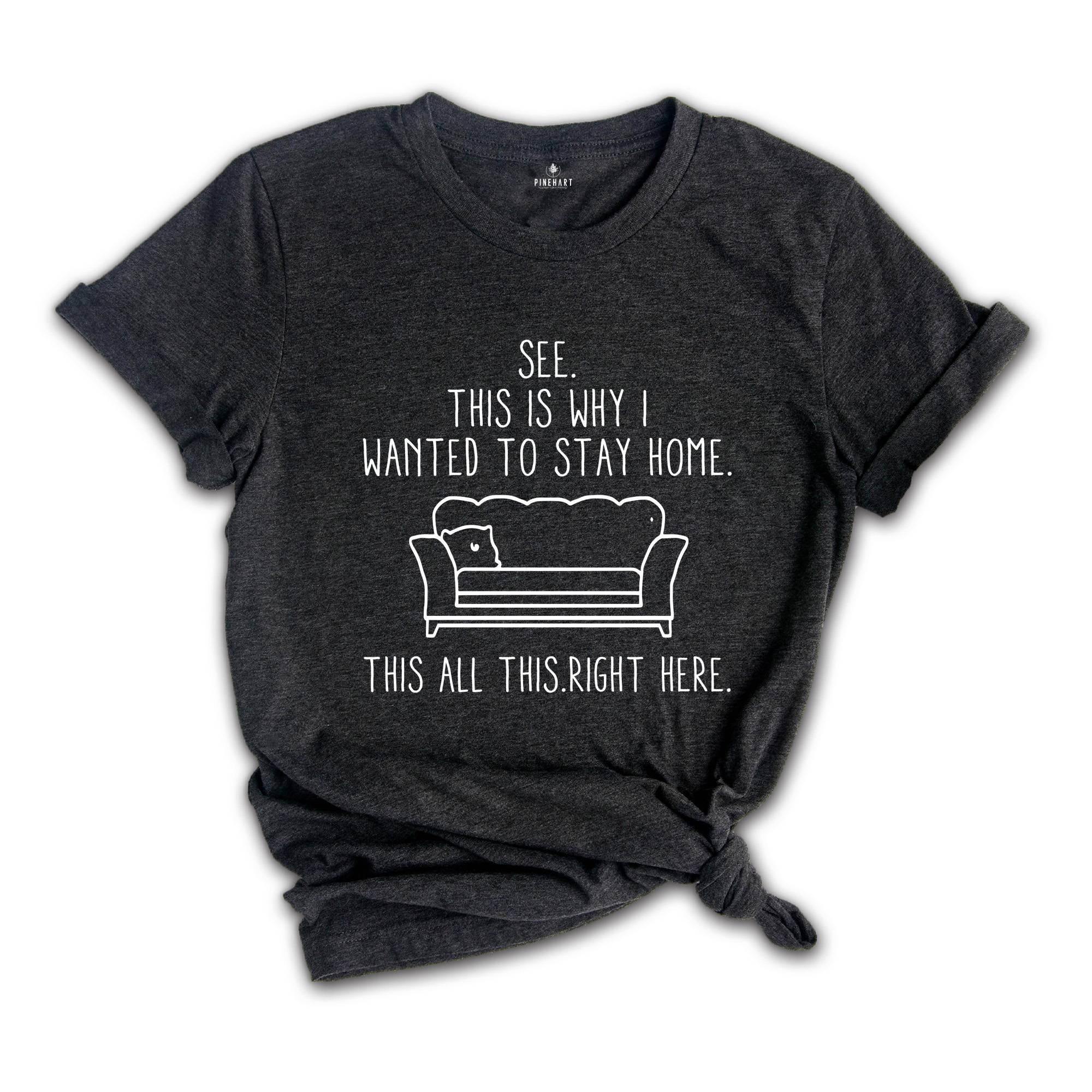 See This Is Why I Wanted To Stay Home. This All This Right Here Shirt, Funny Saying Shirt, Funny Sarcastic Introvert T-Shirt