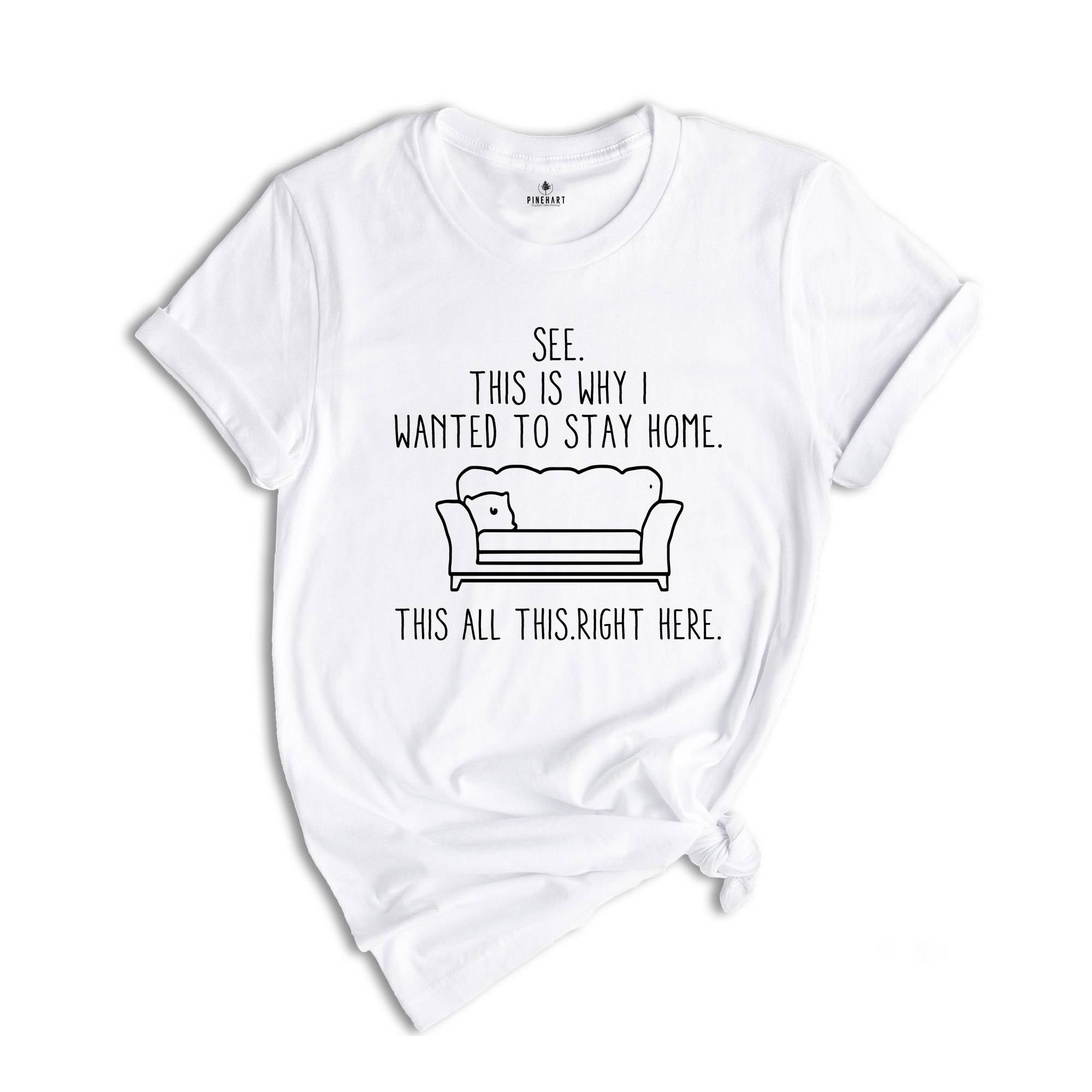 See This Is Why I Wanted To Stay Home. This All This Right Here Shirt, Funny Saying Shirt, Funny Sarcastic Introvert T-Shirt