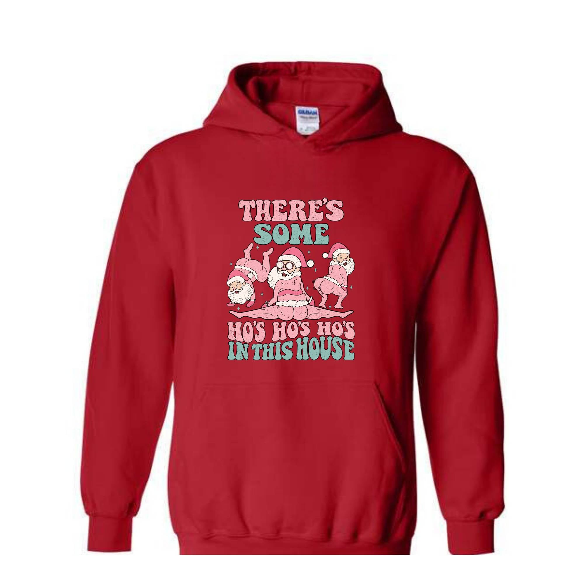 There Are Some Ho Ho Hoodie, Funny Christmas Hoodie, Christmas Holiday Hoodie, Winter Season Hoodie, Gift for Christmas