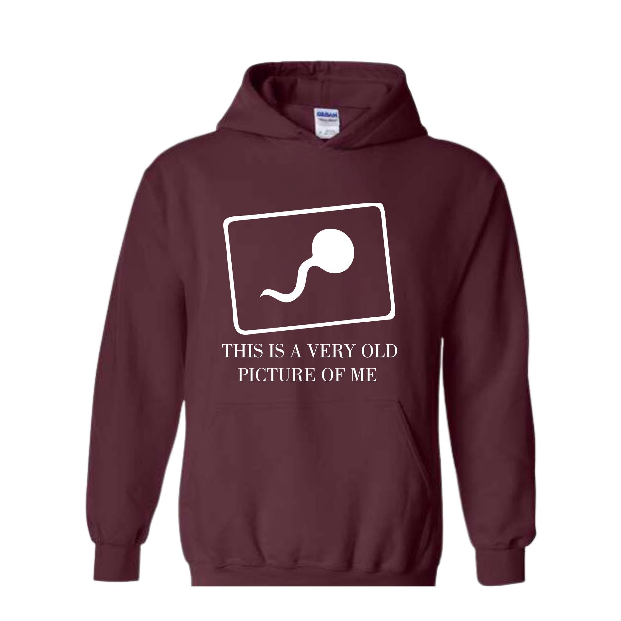 This Is a Very Old Picture Of Me Sweatshirt, Funny Dad Hoodie, Funny Saying Hoodie, Birthday Hoodie, Gift For Dad, Funny Mom Hoodie