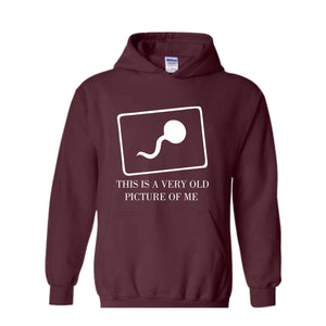 This Is a Very Old Picture Of Me Sweatshirt, Funny Dad Hoodie, Funny Saying Hoodie, Birthday Hoodie, Gift For Dad, Funny Mom Hoodie