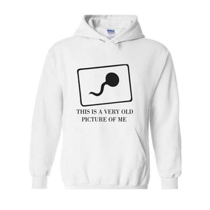This Is a Very Old Picture Of Me Sweatshirt, Funny Dad Hoodie, Funny Saying Hoodie, Birthday Hoodie, Gift For Dad, Funny Mom Hoodie