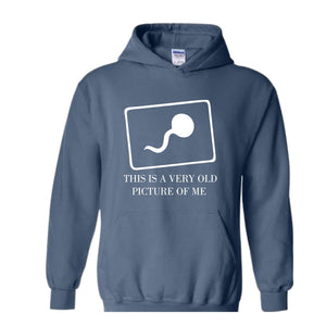 This Is a Very Old Picture Of Me Sweatshirt, Funny Dad Hoodie, Funny Saying Hoodie, Birthday Hoodie, Gift For Dad, Funny Mom Hoodie