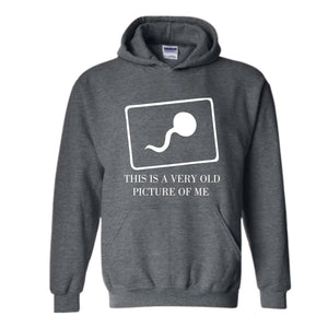 This Is a Very Old Picture Of Me Sweatshirt, Funny Dad Hoodie, Funny Saying Hoodie, Birthday Hoodie, Gift For Dad, Funny Mom Hoodie