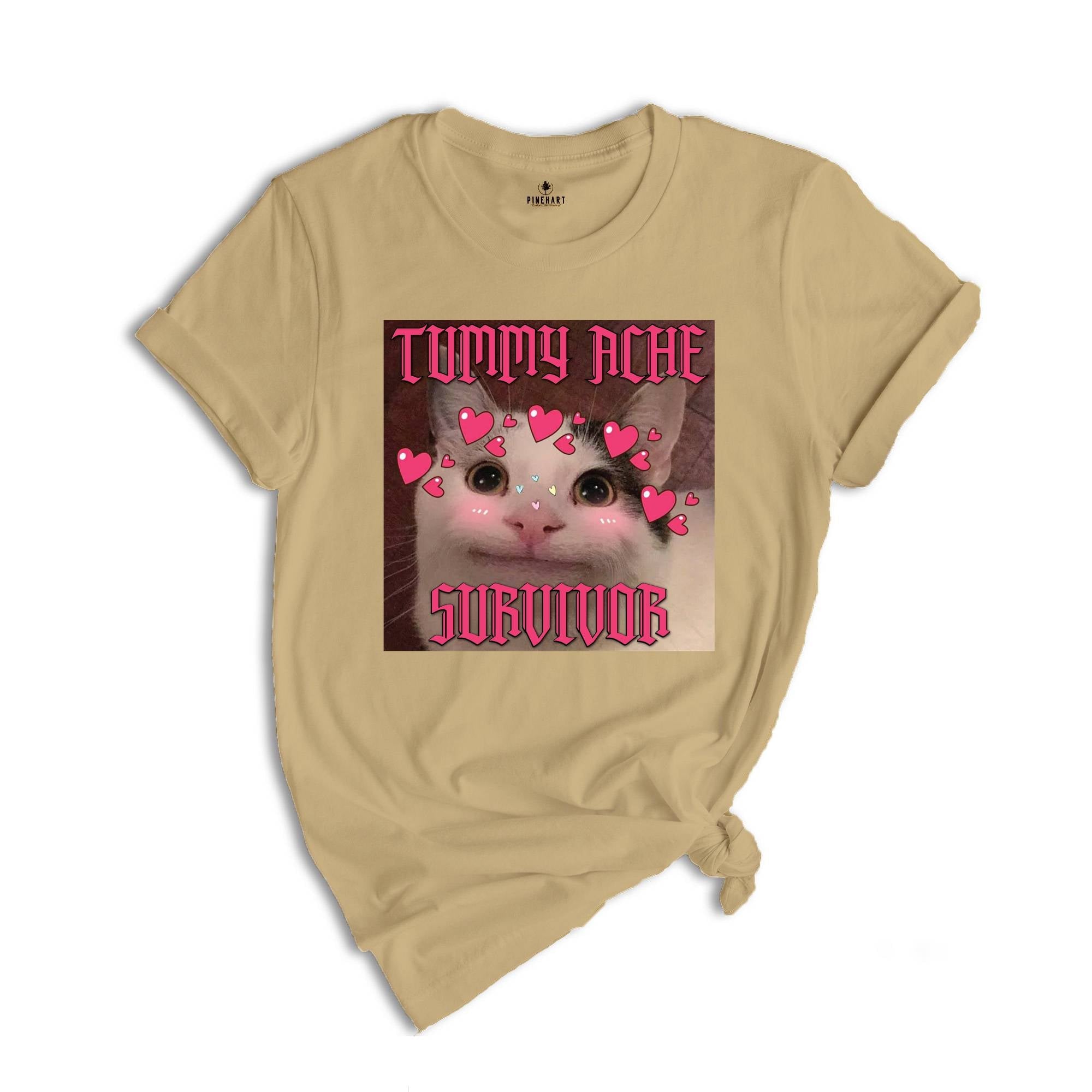 Tummy Ache Survivor Funny Cat Meme T-shirt, Goofy Ahh Cats Tee , Trendy Summer Shirt, Ironic Cat T-shirt, Silly Stupid Cat Shirt