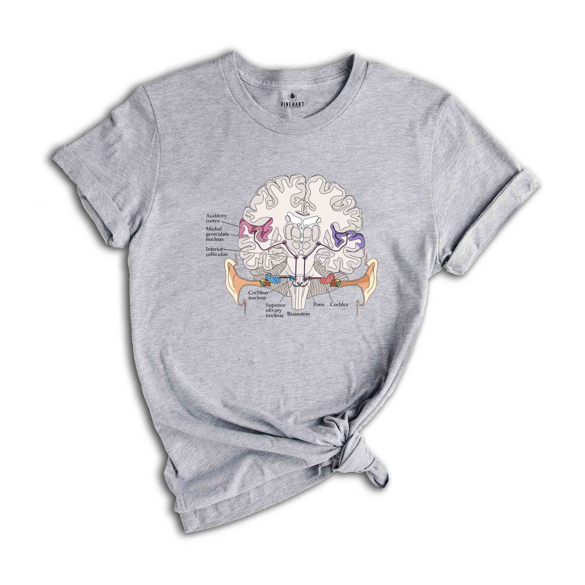 Auditory pathway Shirt, Anatomical Brain Shirt, Anatomy Shirts, Nursing Student Shirt, Doctor Shirt, Cool Brain Shirt, Awareness Gift