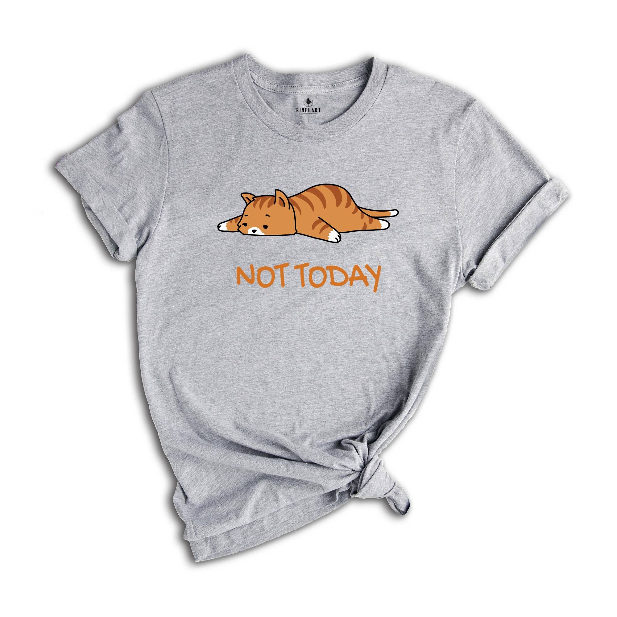 Not Today Cat Shirt, Funny Kitten Shirt, Funny Cat Tshirts, Lazy Cats, Sleepy Cat Lover Shirt, Lazy Cat Tees