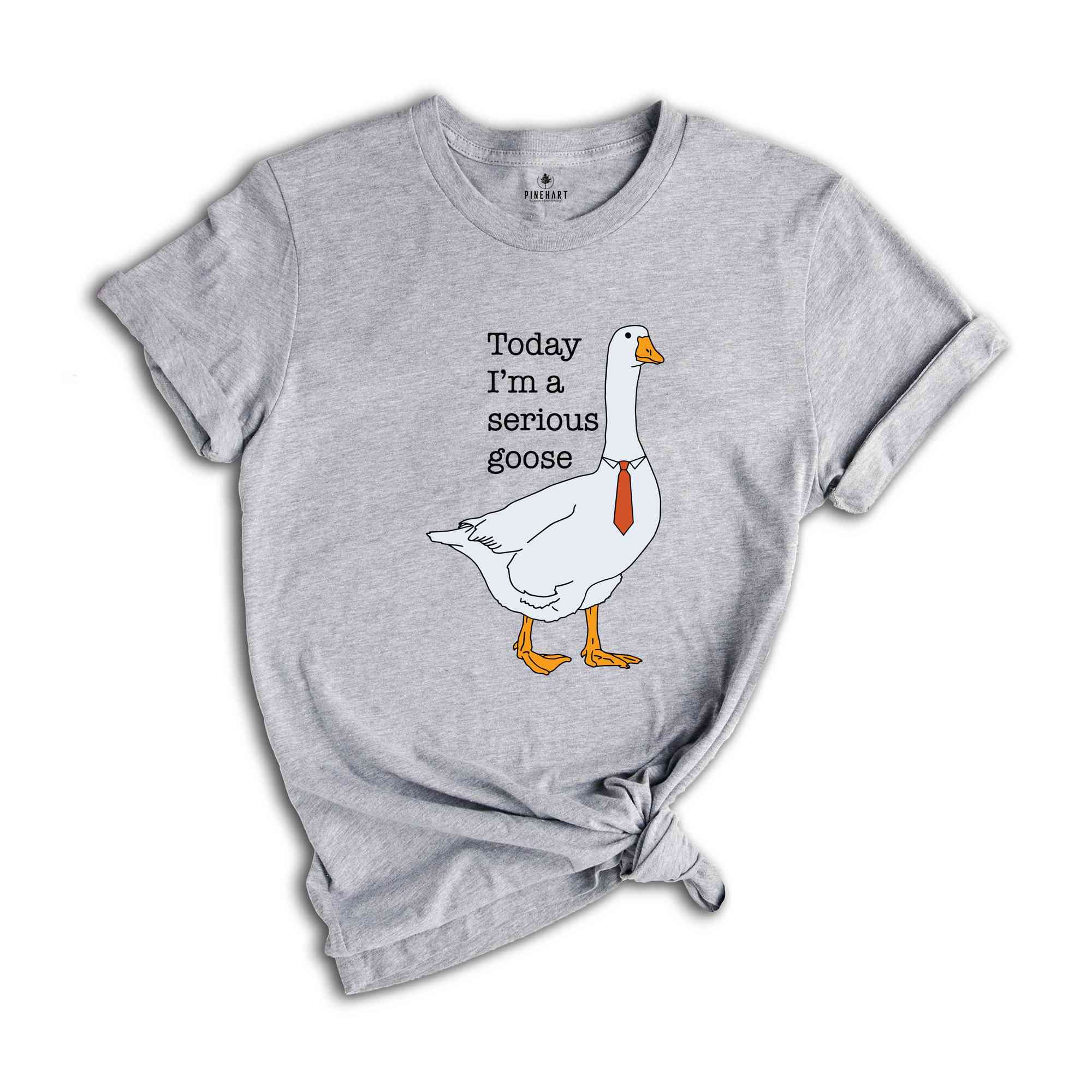 Today I'm a Serious Goose T-Shirt, Funny Silly Shirt, Funny Goose Shirt, Goose Lover Shirt, Meme Shirt, Funny Shirt