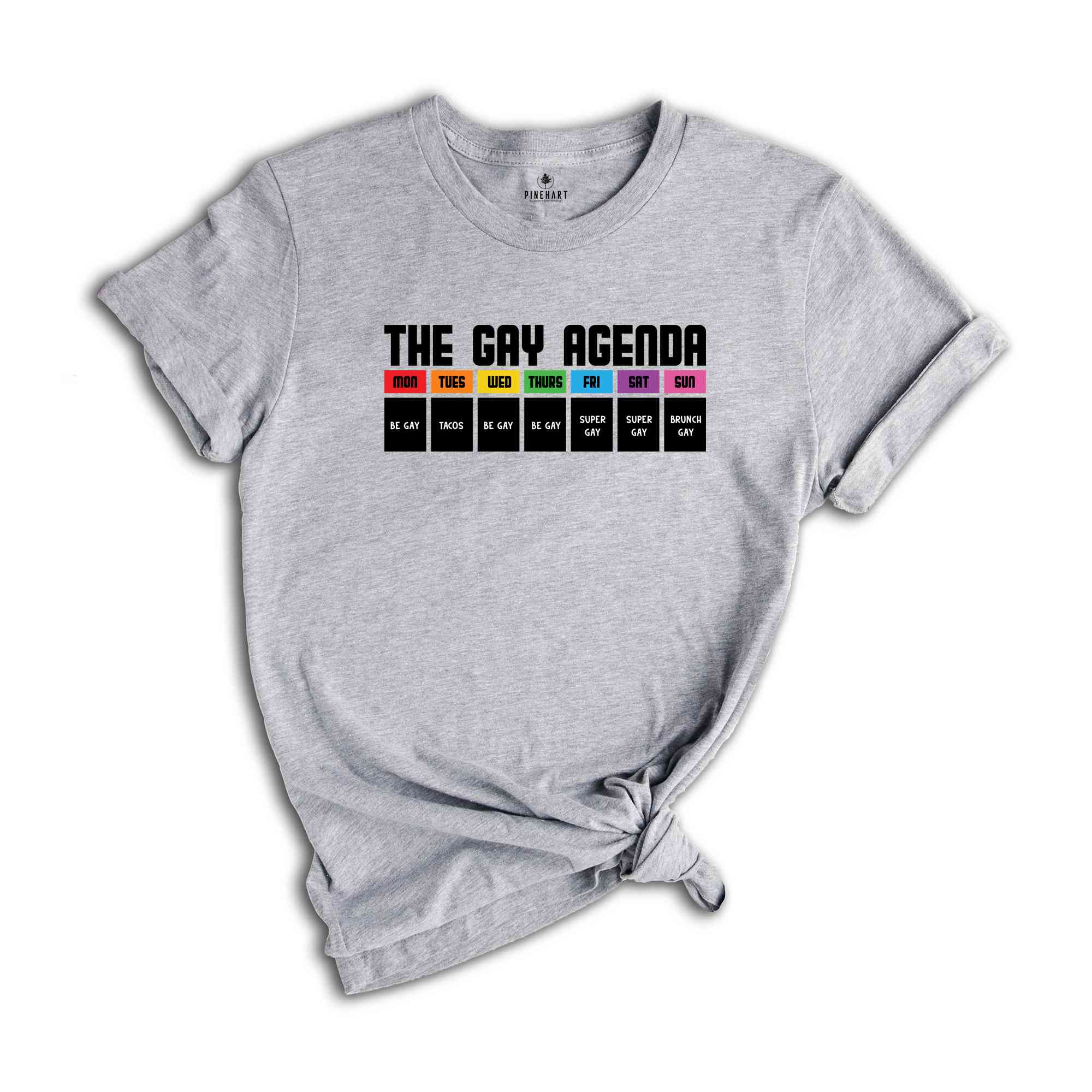 The Gay Agenda Shirt, Pride Month Shirt, Gay Shirt, LGBT Shirt, Bisexual Shirt, Lesbian Shirt, Vintage Shirt, LGBT Gift