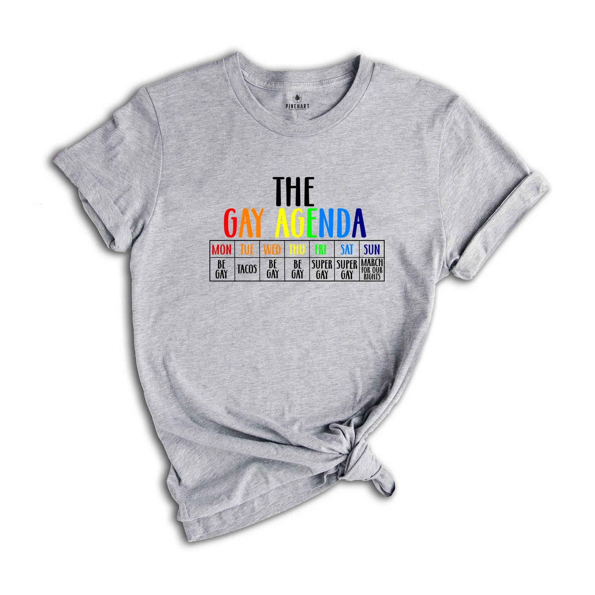 The Gay Agenda Shirt, Funny LGBT Shirt, Pride Rainbow Shirt, LGBTQ Shirt, Gift Gay Lesbian Shirt, LGBTQ+ Shirt