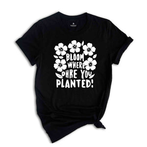 Religious Shirt, Christian Shirt, Faith Shirt, Inspirational Shirt, Bloom Where You Are Planted, Inspirational Quotes Shirt, Gift For Her