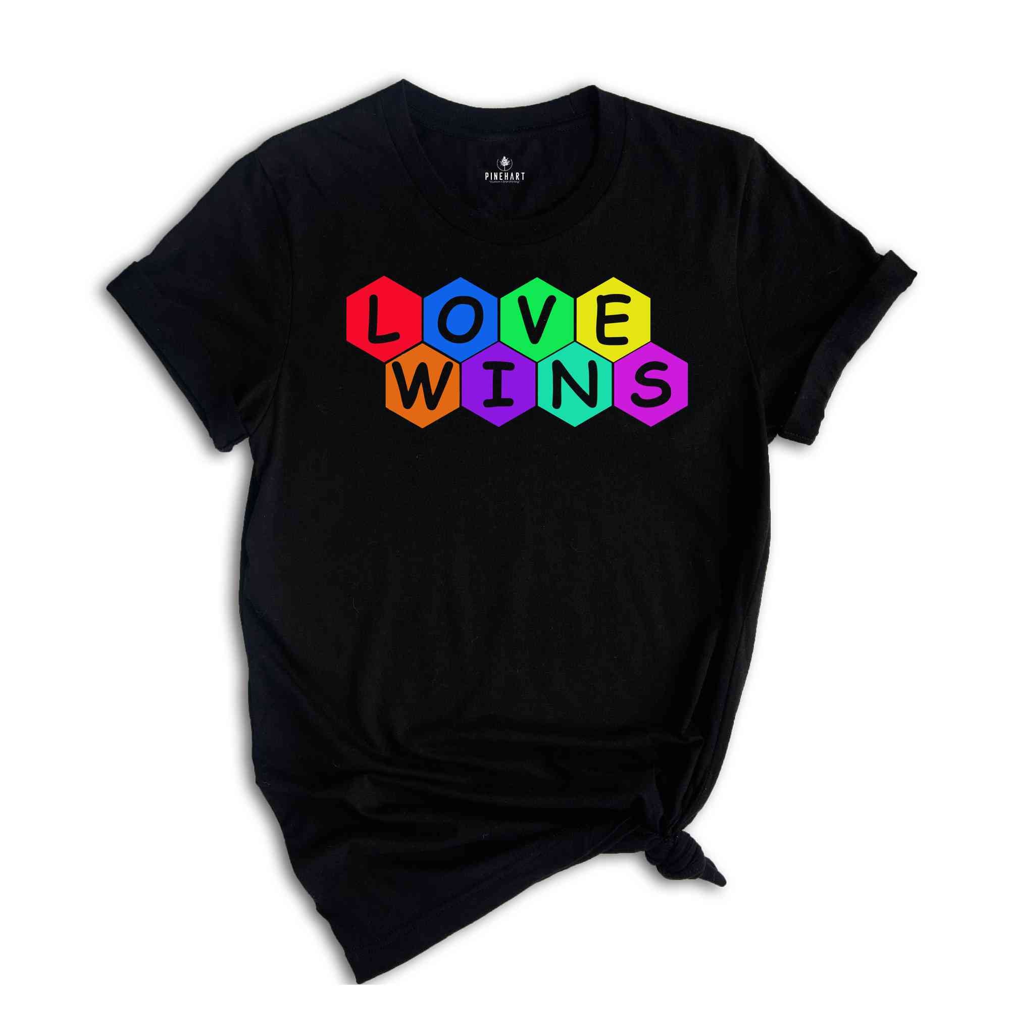 Love Wins Shirt, LGBTQ+ Shirt, Pride Month Shirt, Equal Rights Shirt,Lgbtq Proud Ally, Pride Parade 2024,Equality Tshirt